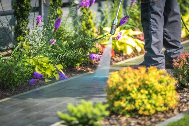 Best House Exterior Washing  in Bronxville, NY